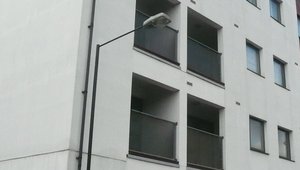 thumbnail of Liberty House, 24-26 Ensign Street